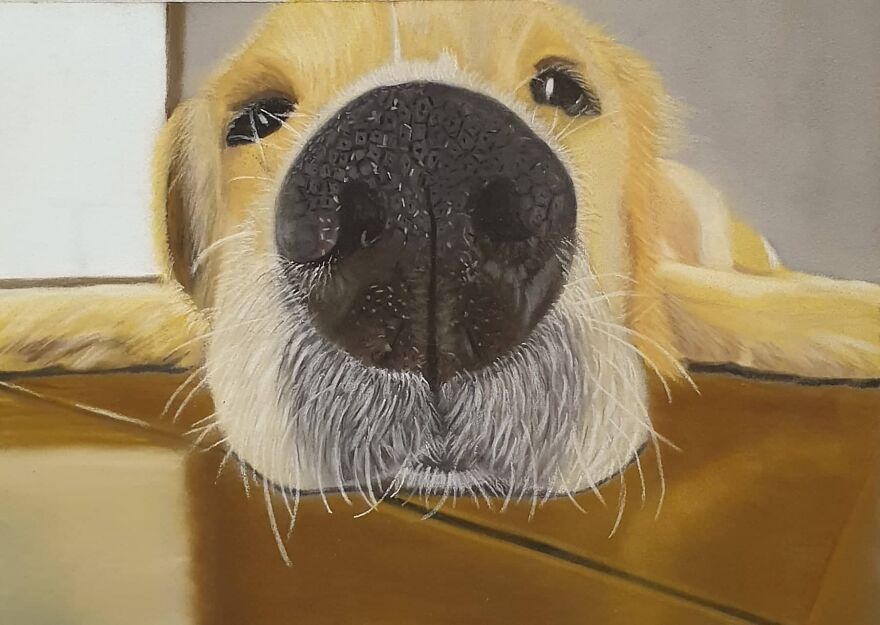 I Always Thought I Had Missed Out On The Artistic Dna That Runs In The Family I Always Thought I Had Missed Out On The Artistic Dna That Runs In The Family