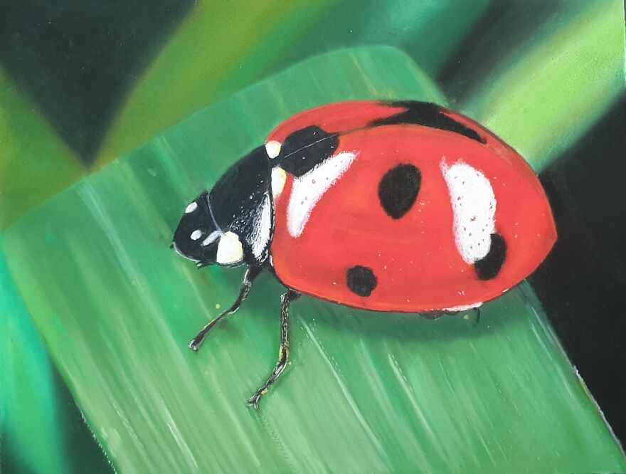 I Always Thought I Had Missed Out On The Artistic Dna That Runs In The Family I Always Thought I Had Missed Out On The Artistic Dna That Runs In The Family