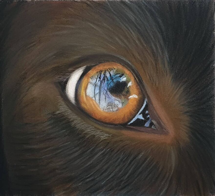 I Always Thought I Had Missed Out On The Artistic Dna That Runs In The Family I Always Thought I Had Missed Out On The Artistic Dna That Runs In The Family