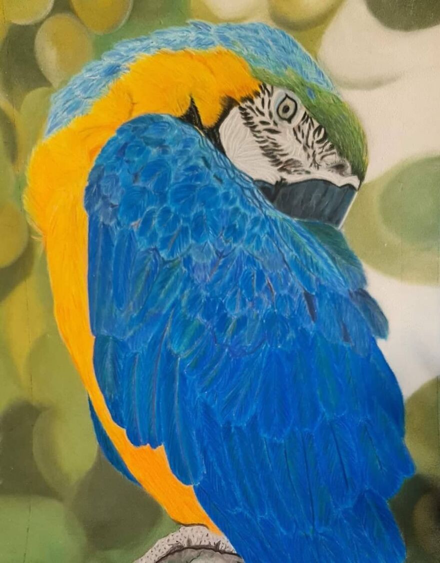 I Always Thought I Had Missed Out On The Artistic Dna That Runs In The Family I Always Thought I Had Missed Out On The Artistic Dna That Runs In The Family