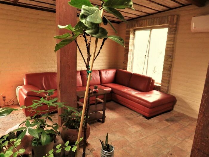 My Living Room Has A Huge Stone Planter With A Skylight Above It In The Center