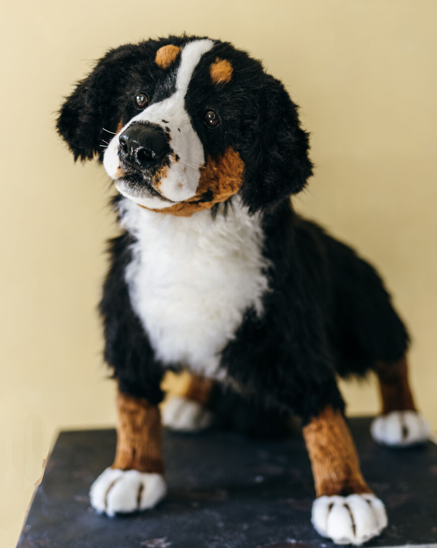 I’m Creating Pets And Animals By Hand, Only Using Needle, Thread And Faux Fur