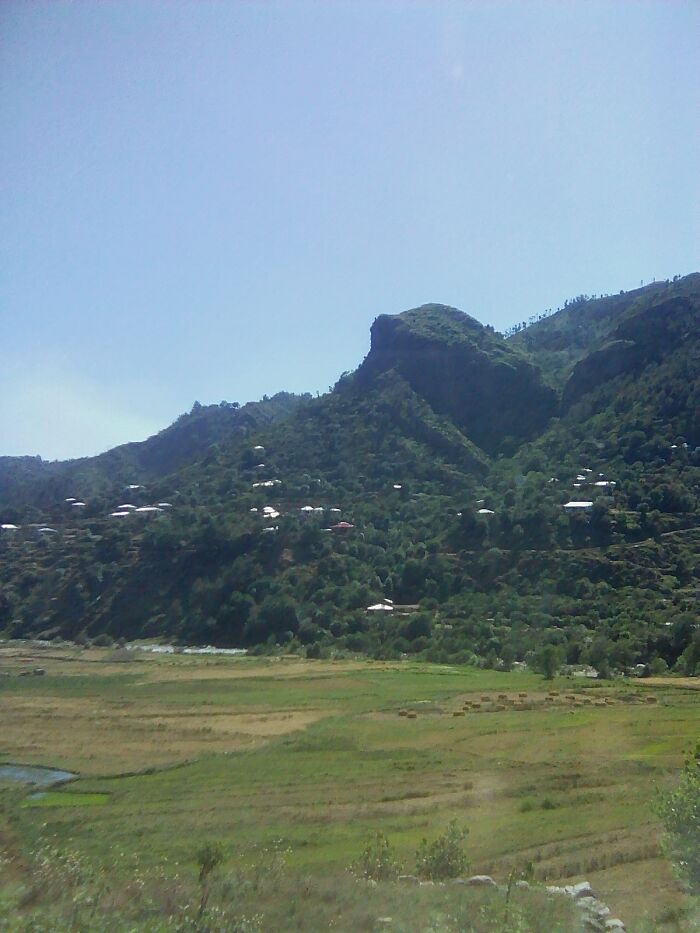 My Nature Photographs (5 Pics)