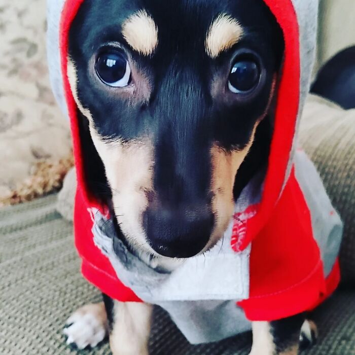 How Could You Swipe Left On This Face?