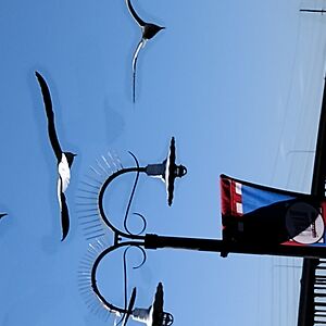 justinwilliamrandles avatar