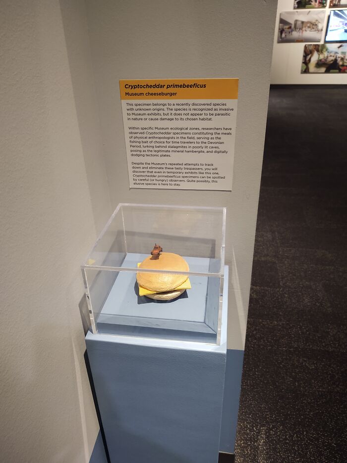 Also From The Cleveland Museum Of Natural History. There Are Several Cheeseburgers Scattered Throughout The Exhibits