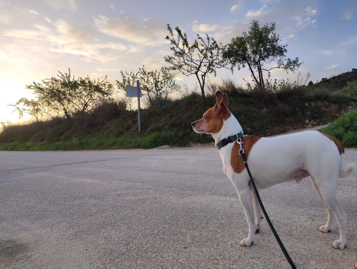 A Rest In Our Morning Walk. Murcia, Spain