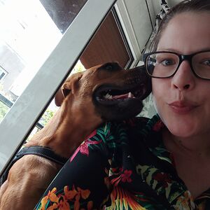 steffipallasberlin avatar