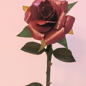 michellebergkamp avatar