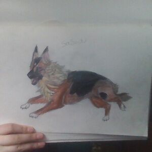 Blizzerd of the IceWings