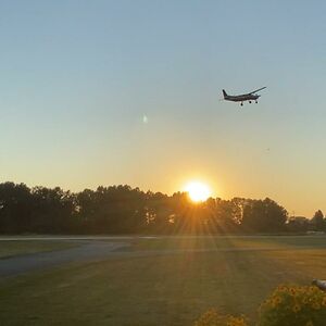 brandon_skinner avatar