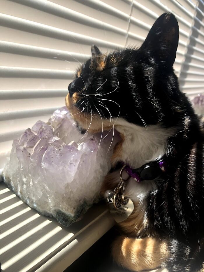 She Loves Crystals