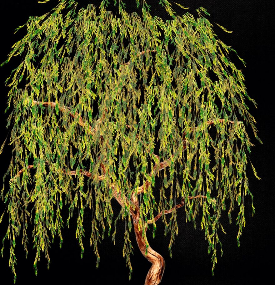 Willow Tree Digital Art