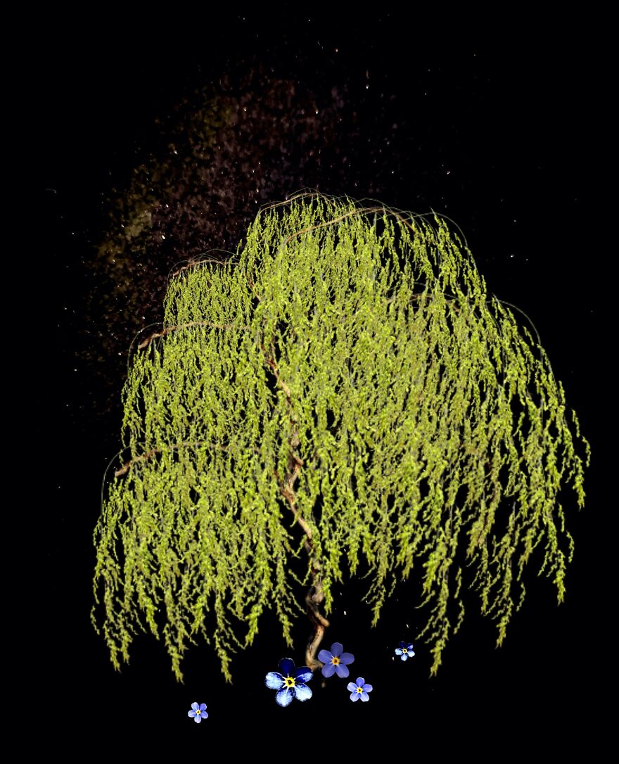 Willow Tree Digital Art
