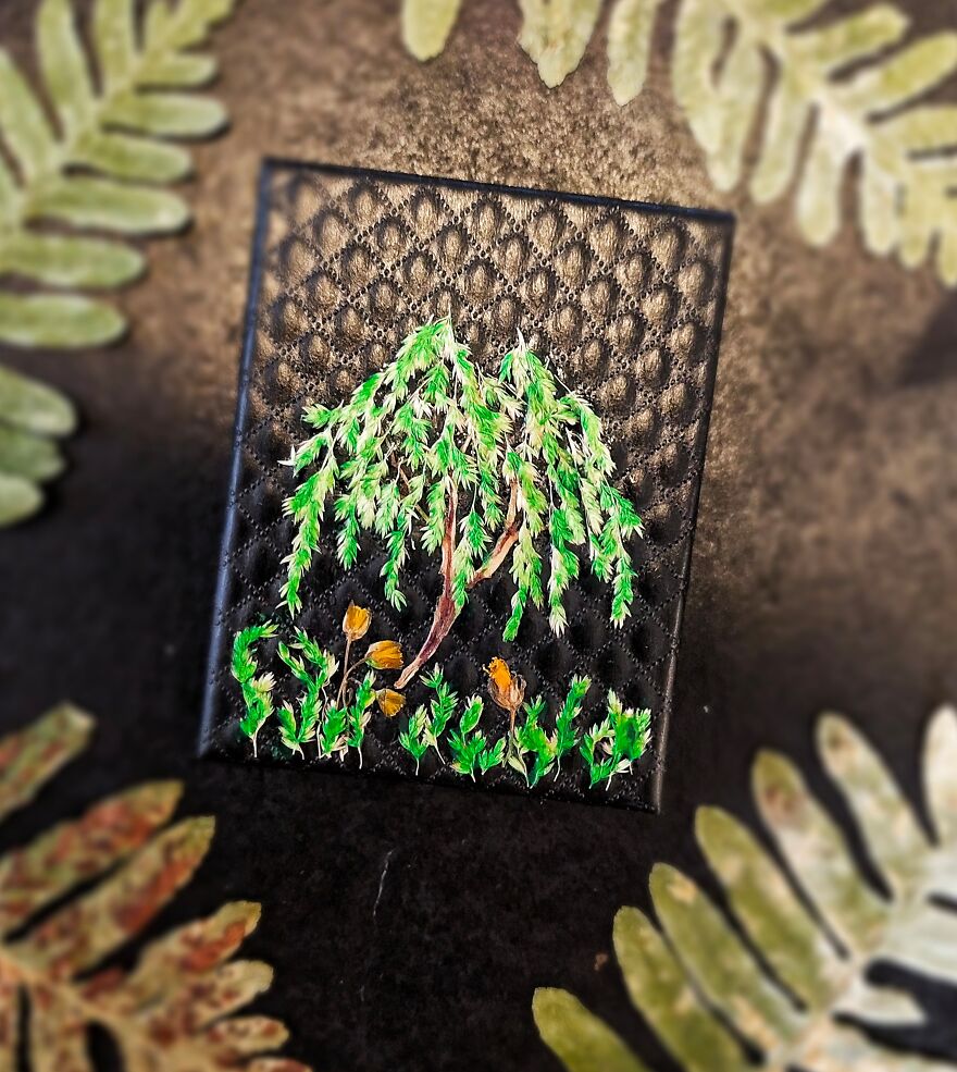 Willow Tree Gift Box