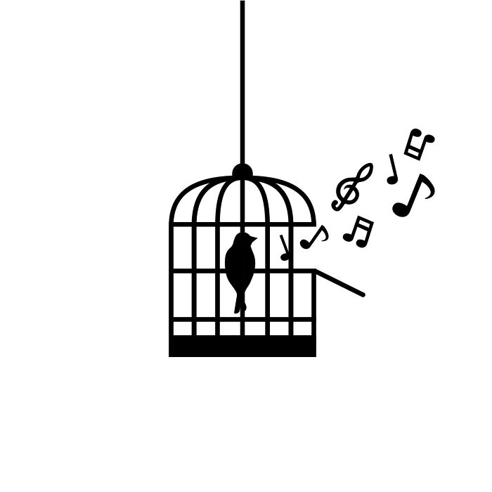 Caged And Free