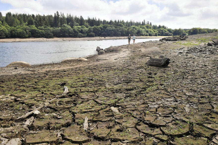 Save Water - Save The Earth, Save The Future Save Water - Save The Earth, Save The Future