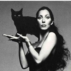 lindseyjamall avatar