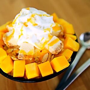 nightoftherevolution avatar