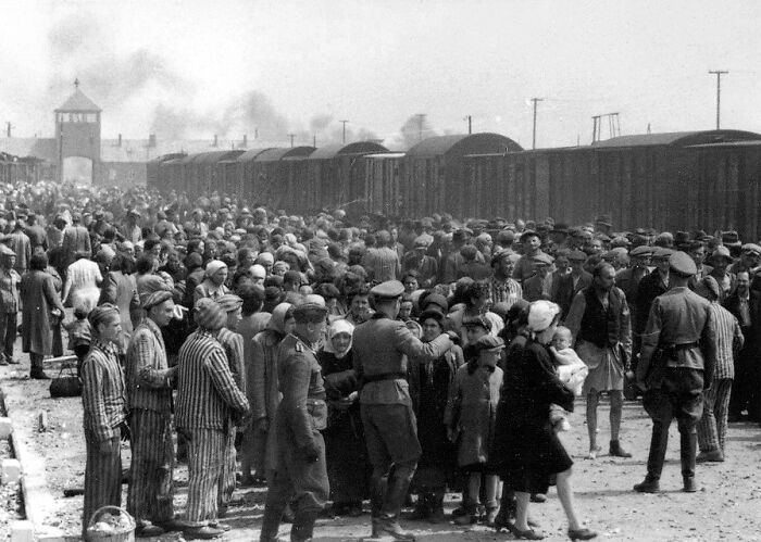 Hungarian Jews Being Selected By Nazis To Be Sent To The Gas Chamber At Auschwitz Concentration Camp, Auschwitz Album 1944