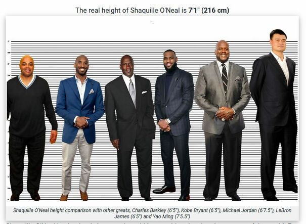 Size-comparison-Shaq-6307a34c0d4b0.jpg