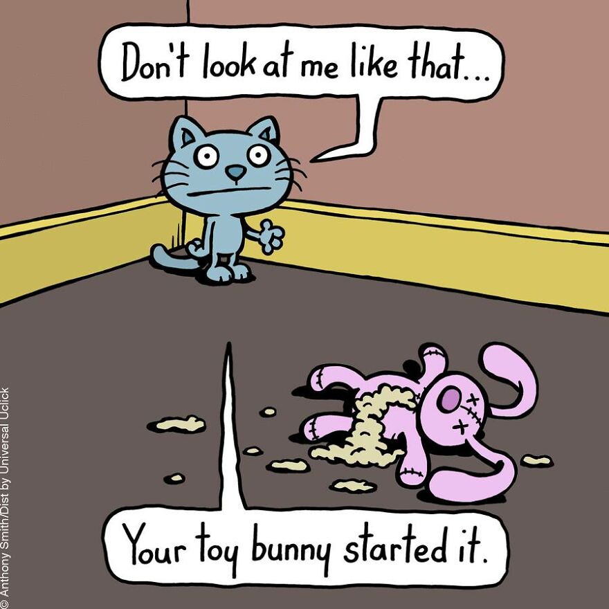 This Artist Perfectly Illustrates Your Cat's "Cattitude"-Interview With Artist