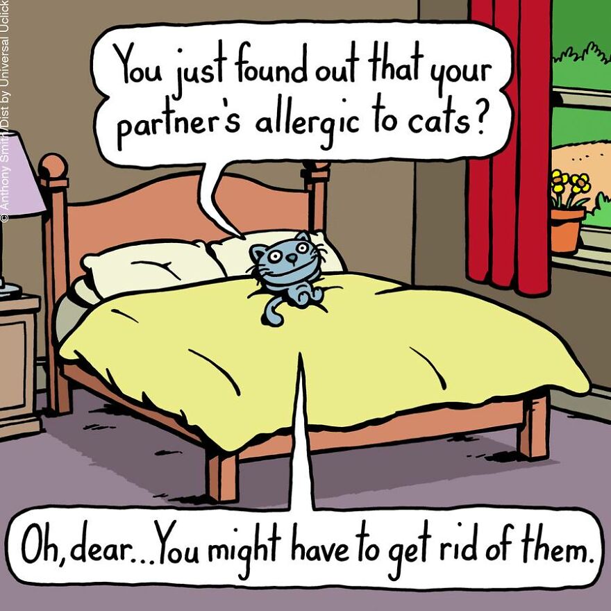 This Artist Perfectly Illustrates Your Cat's "Cattitude"-Interview With Artist