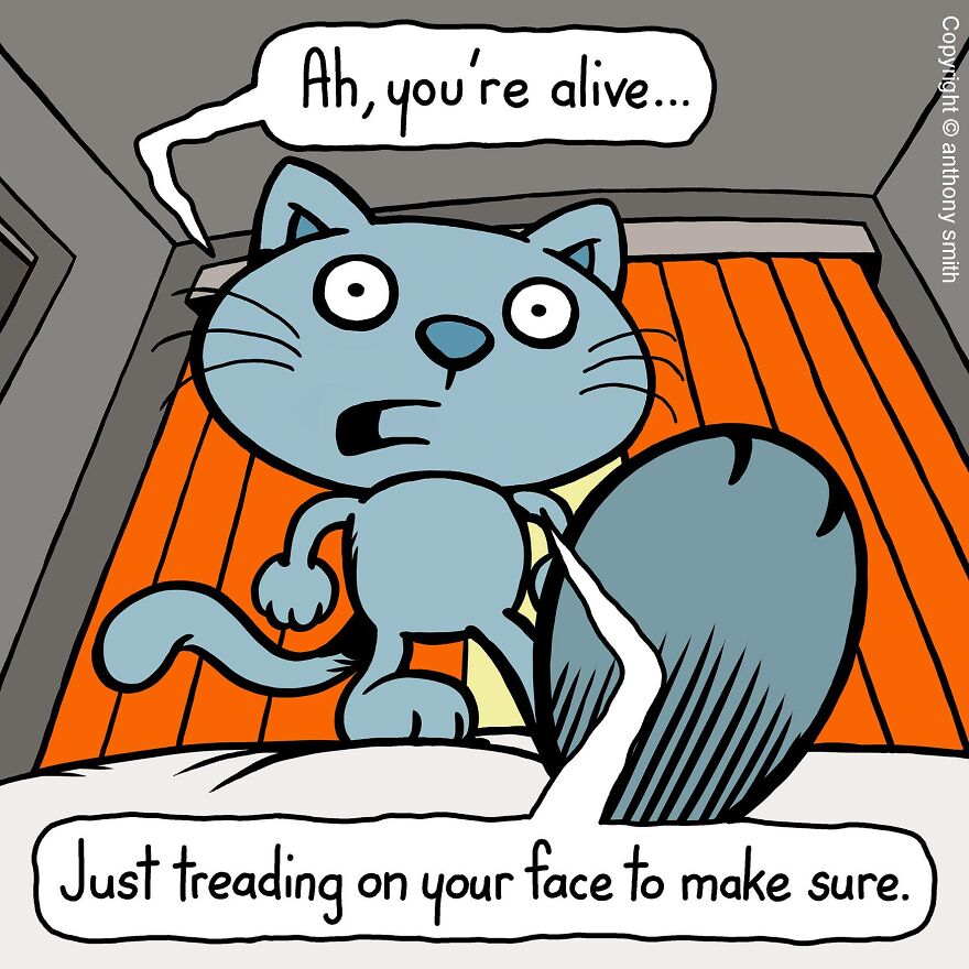 This Artist Perfectly Illustrates Your Cat's "Cattitude"-Interview With Artist