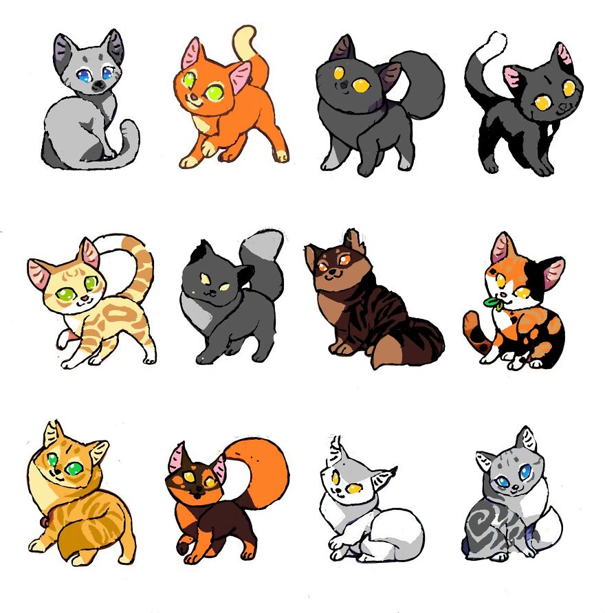 My Version Of Warriors My Version Of Warriors