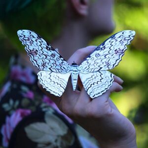 aleksandraskrzycka avatar