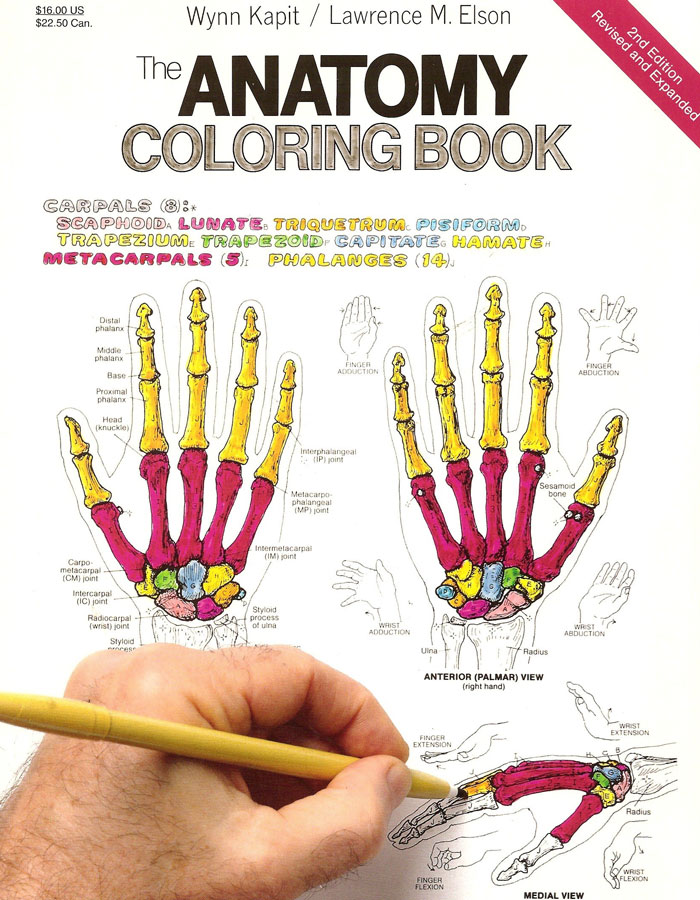"The Anatomy Coloring Book" By Wynn Kapit And Lawrence M. Elson