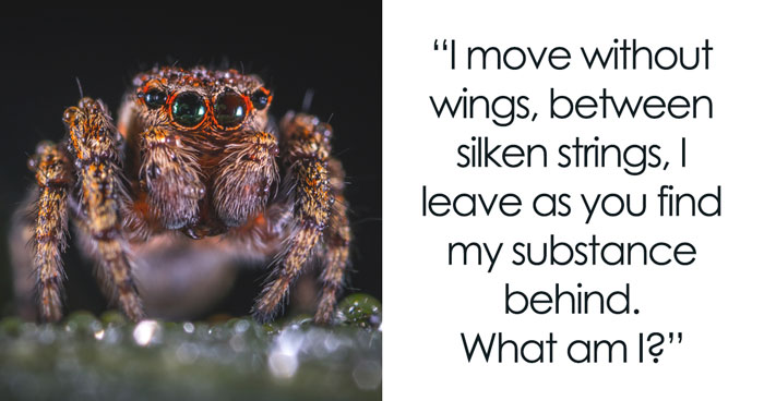 101 Animal Riddles For Kids That’ll Entertain The Youngsters