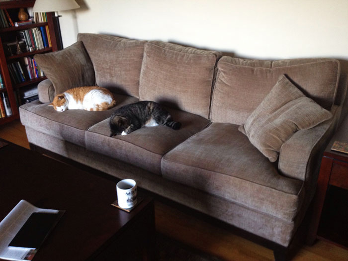 "I Offered To Let My Mom Live With Me Under The Exact Same Terms I Lived With Her As A Teen" "I Offered To Let My Mom Live With Me Under The Exact Same Terms I Lived With Her As A Teen"