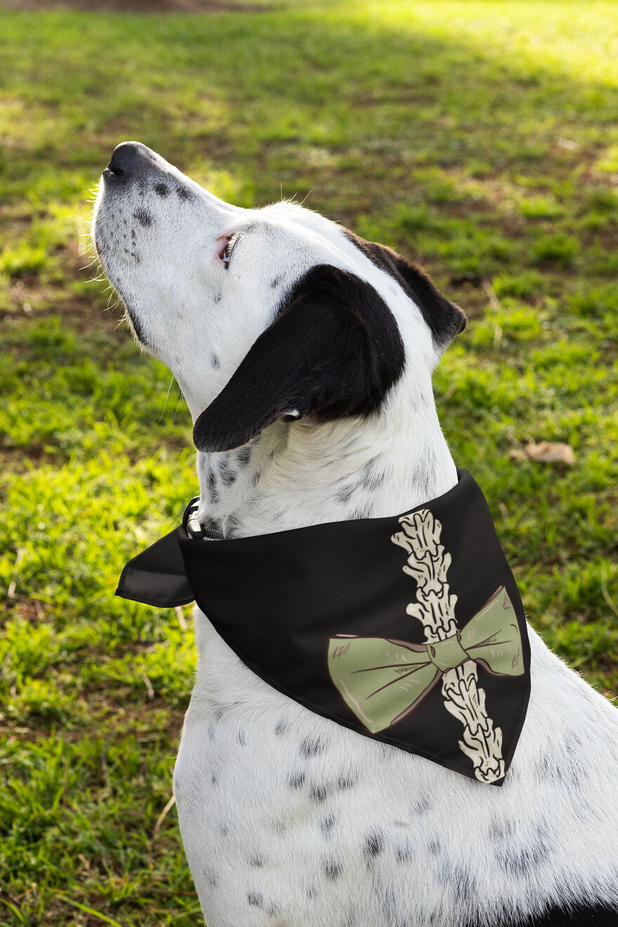 I Made Hiking Halloween Costumes For You And Your Dog I Made Hiking Halloween Costumes For You And Your Dog