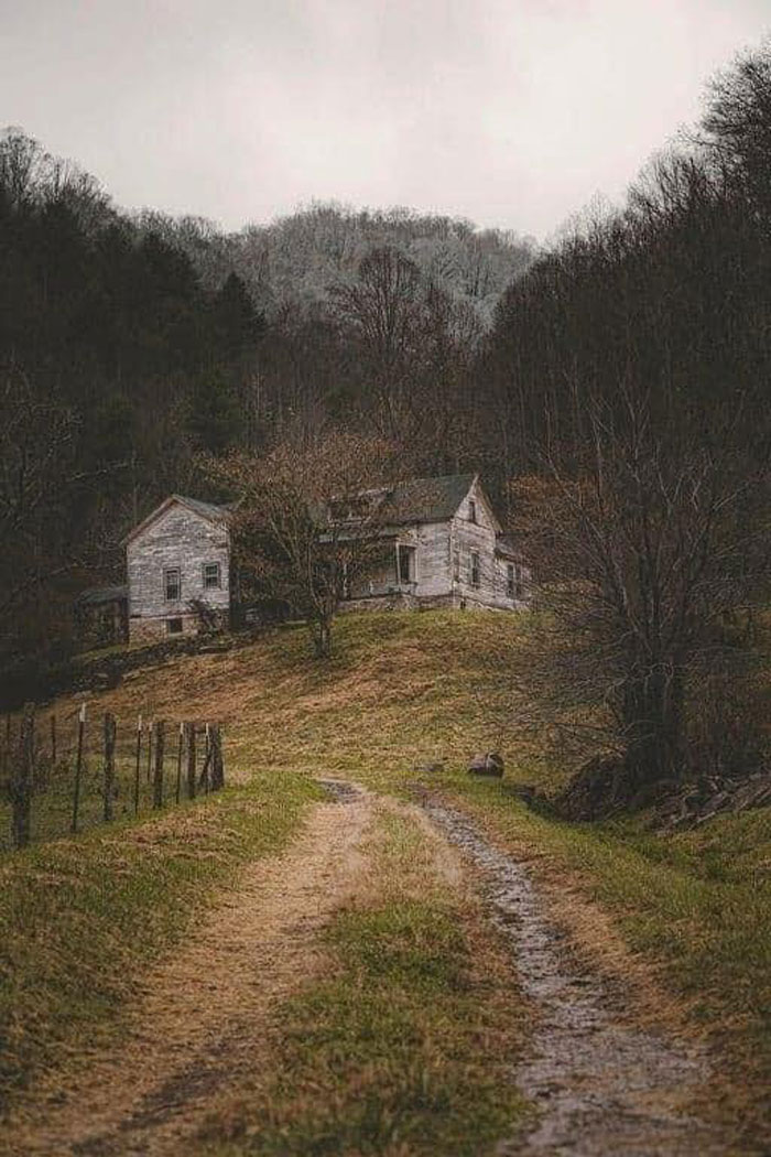 Abandoned In North Carolina