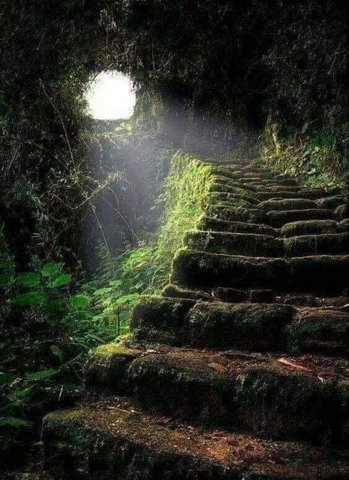 Stairway To Heaven, The Ancient Inca Trail That Leads To Machu Picchu In Peru