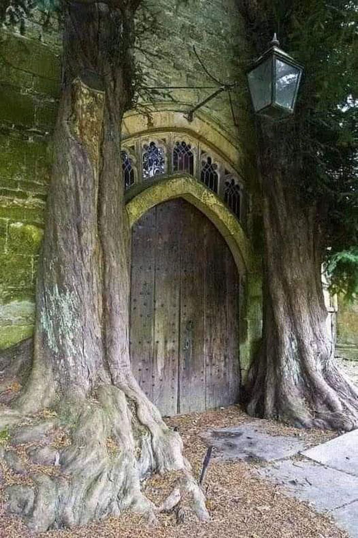 Framed With Trees, The Door Of This Medieval Sanctuary Looks Like A Portal To A Mythical Realm. St Edward's Church, Stow-On-The-Wold (England)