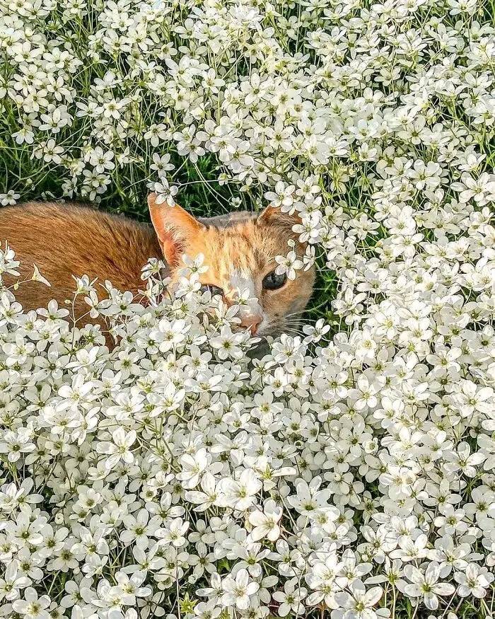 ‘Blessed Images’: 50 Times People Saw An Image So Pure, It Healed Their Soul A Bit