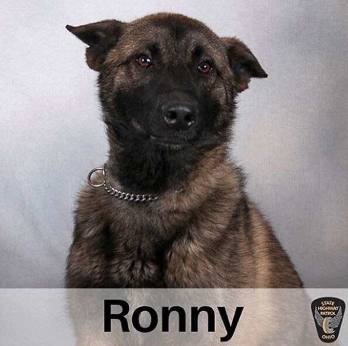 Este es Ronny de la Patrulla de Carreteras de Ohio. Se esforzó mucho para su foto, así que no os burléis de él