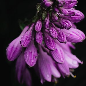 samanthabecker avatar