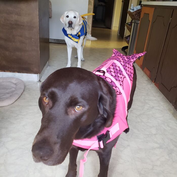 Perla & Smitty Ready To Go Kayaking
