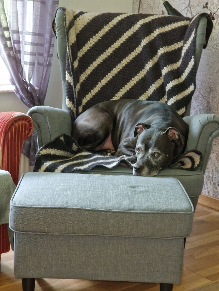 What? You Want The Archives With The Cashmere Blankett?