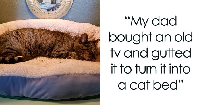 Dad Makes A Cat Bed For His Daughter’s Feline From An Old TV, And It Hasn’t Gone Unnoticed On The Socials