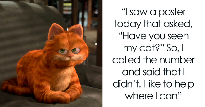 129 Cat Jokes That’ll Have You Clawing For More