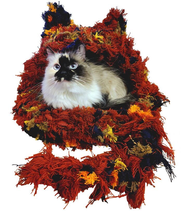 I Make And Sell Cat Shaped Cat Beds, Made From Wool Manufacture Waste.