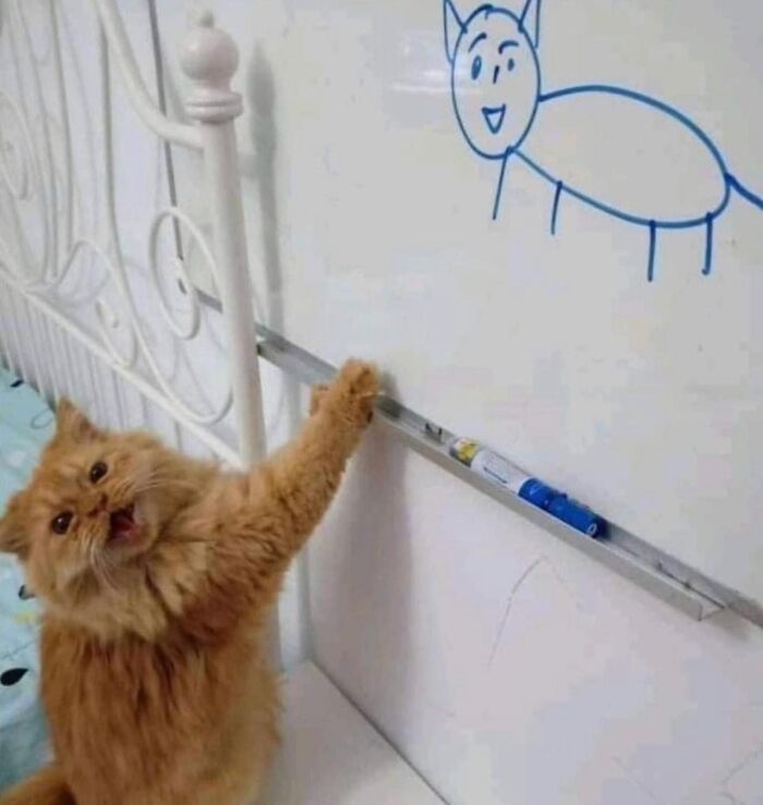 Ginger cat showing the blue painting of a cat on the wall 