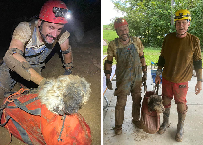 Poodle Reunites With Owner 2 Months After Disappearing As Cavers Find Her 500 Feet Underground