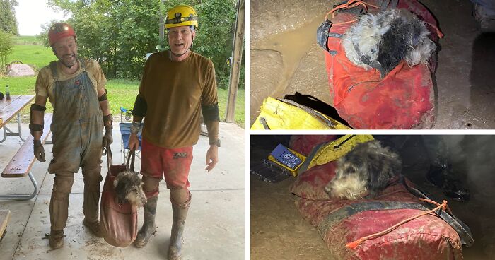 Poodle Reunites With Owner 2 Months After Disappearing As Cavers Find Her 500 Feet Underground