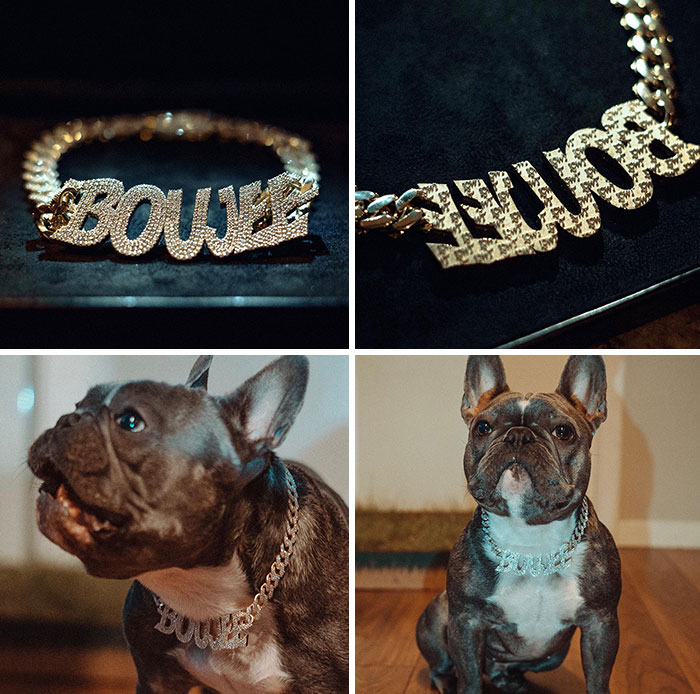 Juju Smith-Schuster Bought For His Own Dog Boujee A Full Of Diamond Neckless