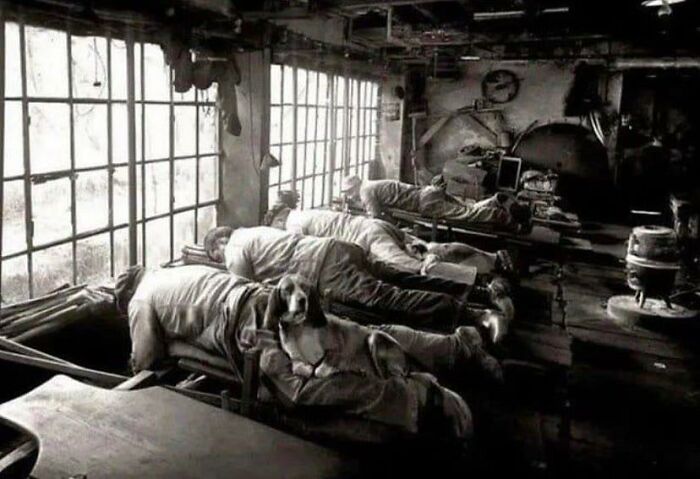 Afiladores de cuchillos en Francia 1902, trabajaban tumbados para cuidar sus espaldas y tenían perros sentados en sus piernas para entrar en calor